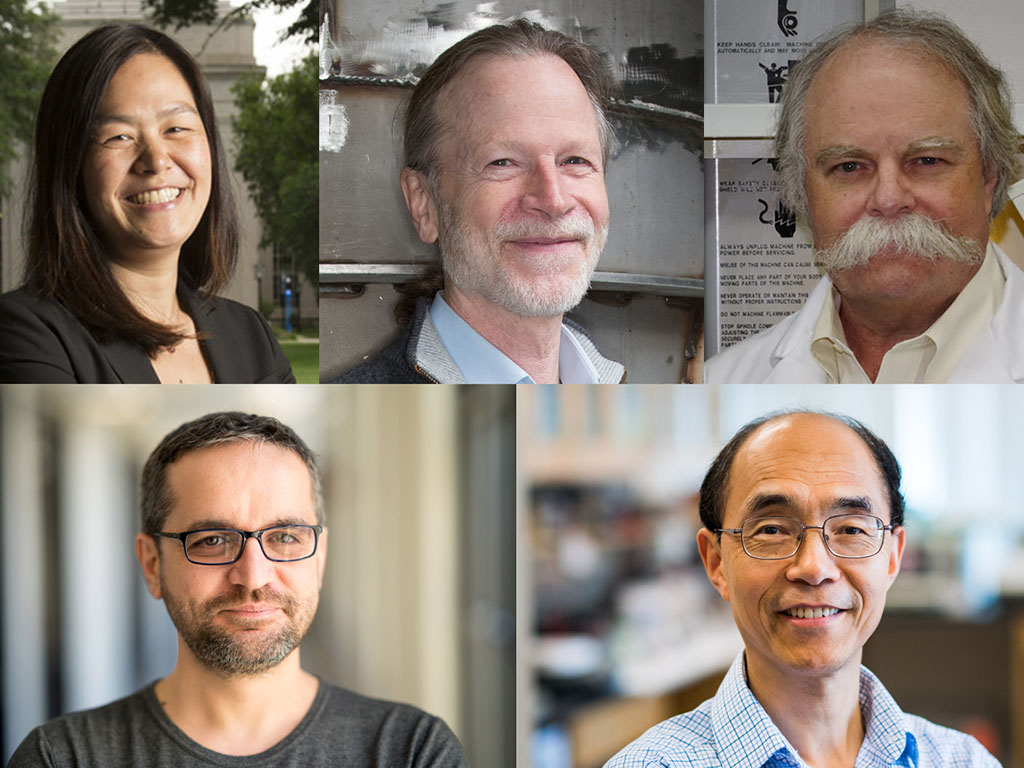 MIT’s new AAAS Fellows, clockwise from upper left: Evelyn Ning-Yi Wang, David H. Shoemaker, Ian W. Hunter, Mircea Dincă, and Guoping Feng.