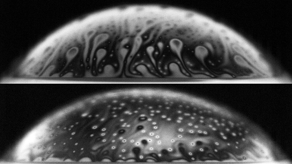 A water bubble containing bacteria