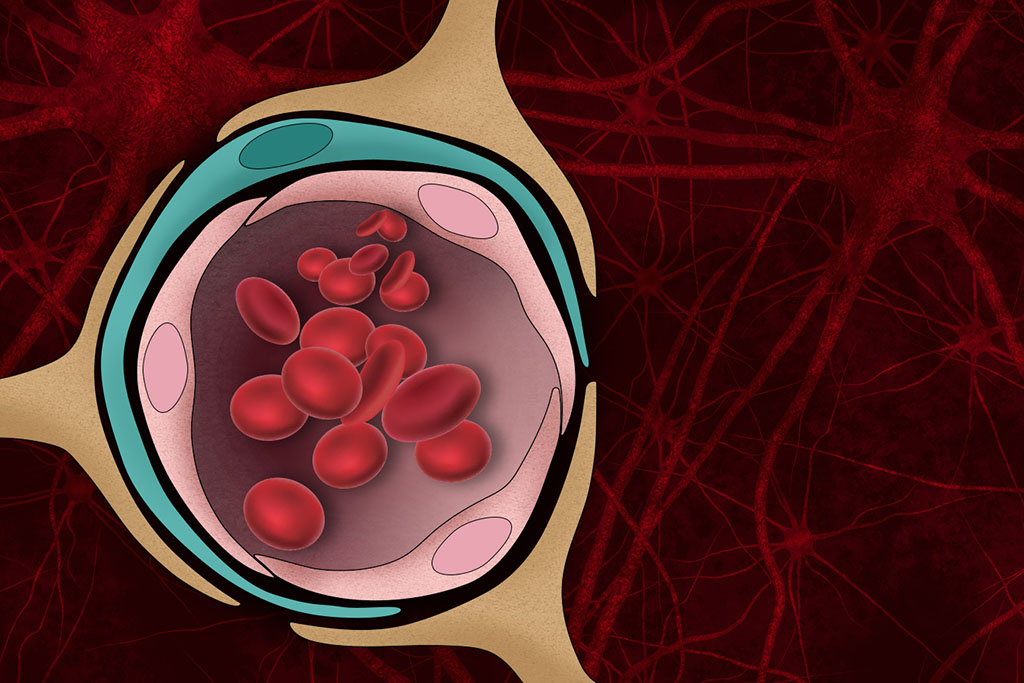 illustration of blood brain barrier