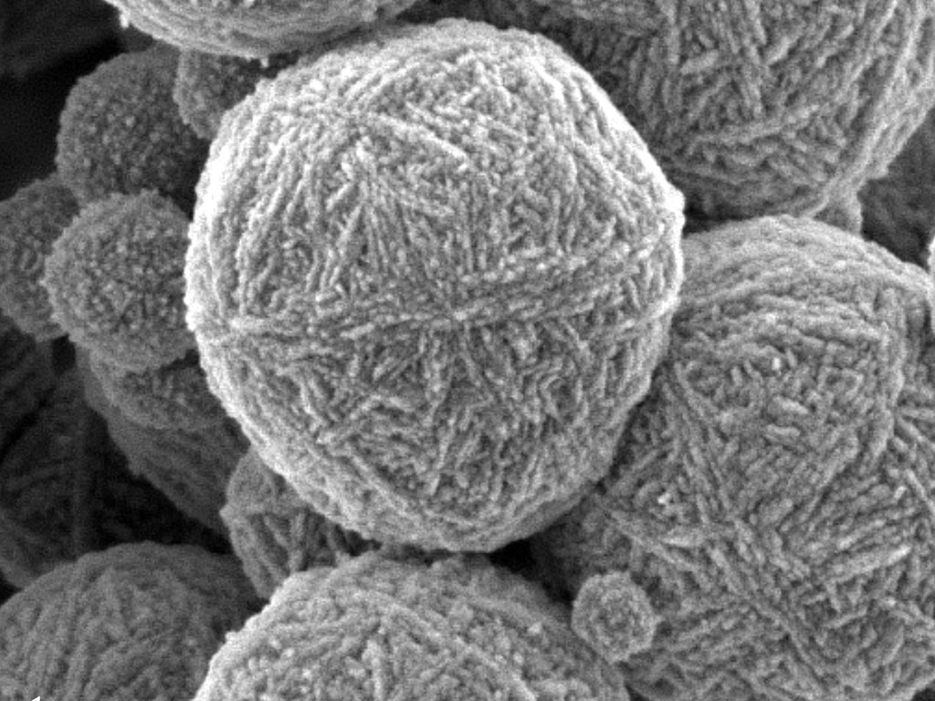 These particles resembling microscopic balls of knitting wool are actually inorganic zeolite particles. The microporous crystalline particles are formed via precipitation as the aluminosilicate colloidal hydrogels evolve, starting as an aqueous mineral so