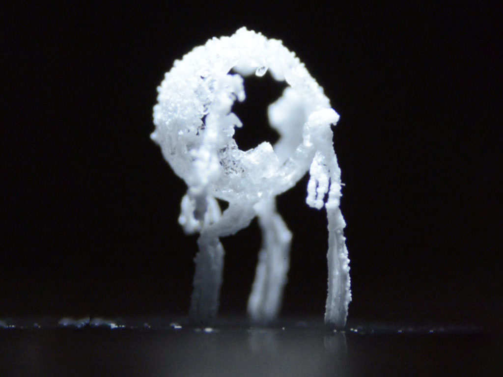 When the researchers began studying the way salts crystallize on certain surfaces, they found that the process repeatedly produced predictable multi-legged shapes. The researchers dubbed them collectively as “crystal critters” in the title of their paper.