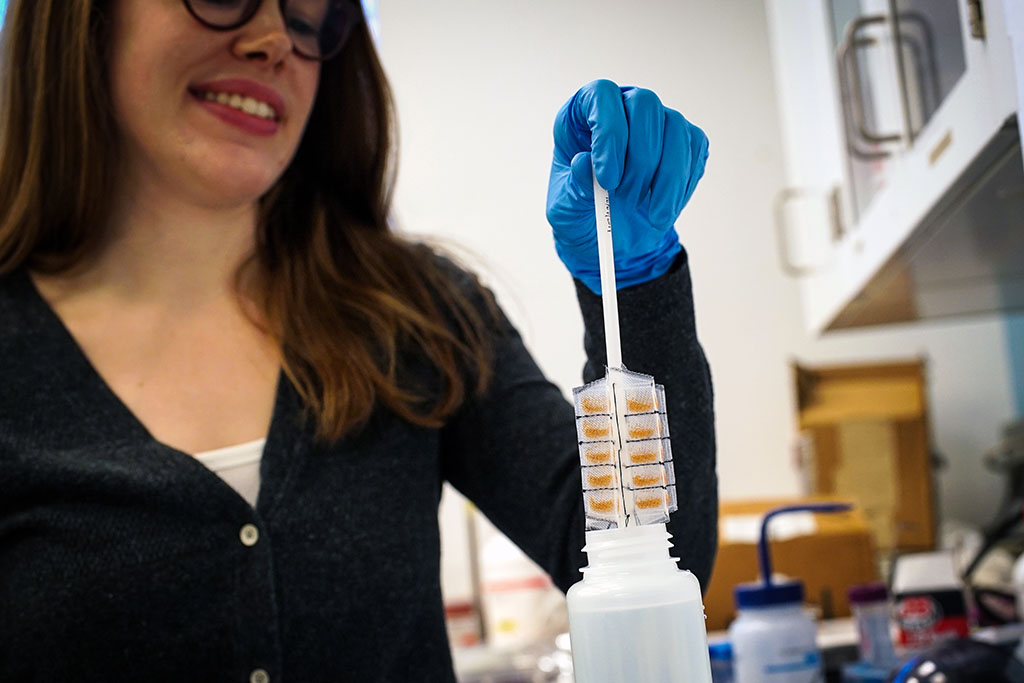 A whisk-like device lined with small pockets filled with gold polymer beads, fits inside a typical sampling bottle, and can be twirled to pick up any metal contaminants in water.