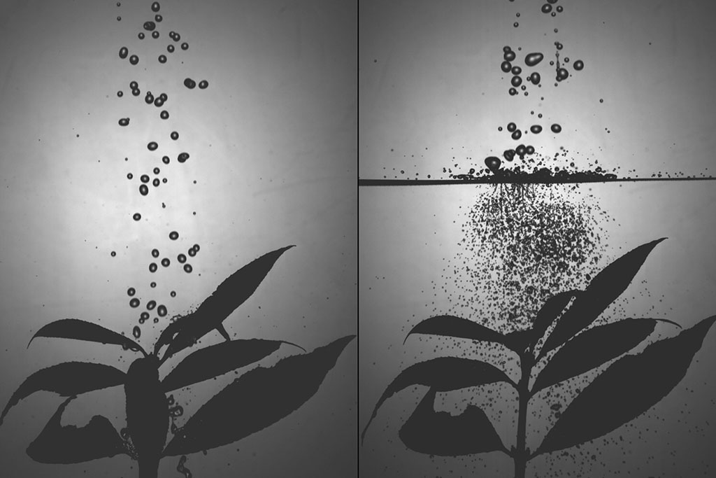 Photos of tiny droplets hitting a plant with a mesh barrier and without