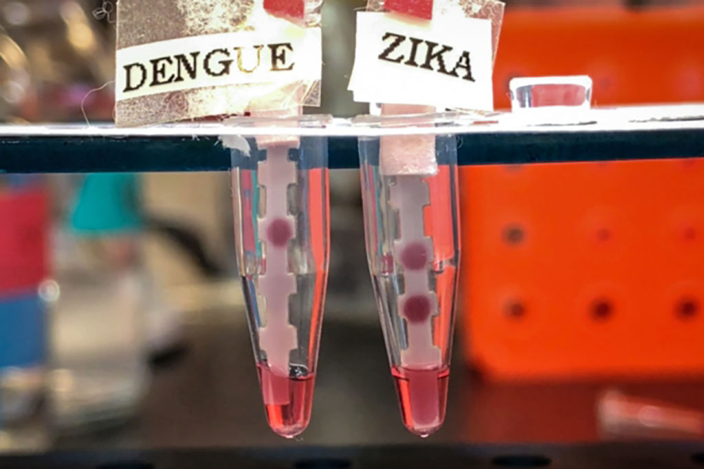 Dengue and Zika samples