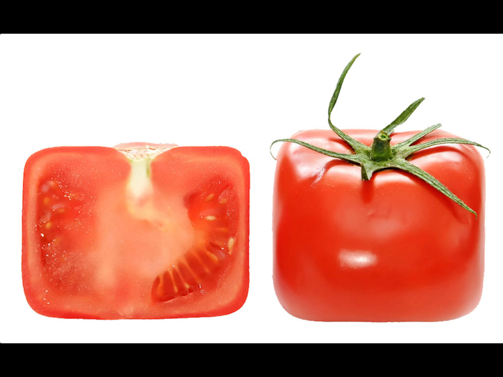 Tomato Cube