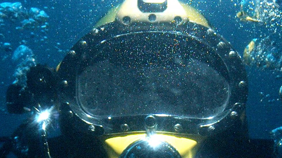 Living Undersea: Rare Footage of Marine Life