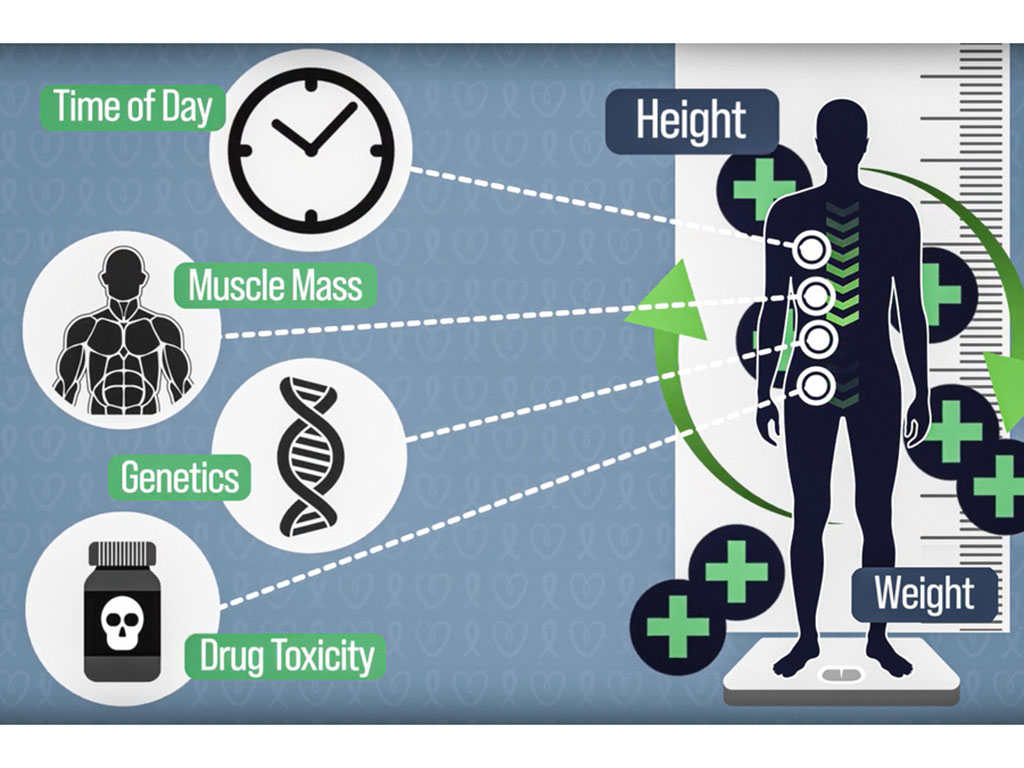 An icon of the human body has medication icons around it, and also 4 nodes. The nodes expand to say “Time of Day, Muscle Mass, Genetics, and Drug Toxicity,” and show icons. The words “Height and Weight” appear next to the human body.