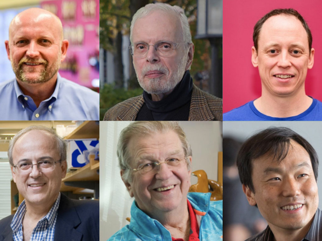 Caption:MIT faculty who received 2021 J-WAFS Solutions grants include (top row, left to right) Daniel Frey, Leon Glicksman, Eric Verploegen; (bottom row, left to right) Greg Stephanopoulos, Anthony J. Sinskey, and Jongyoon Han.