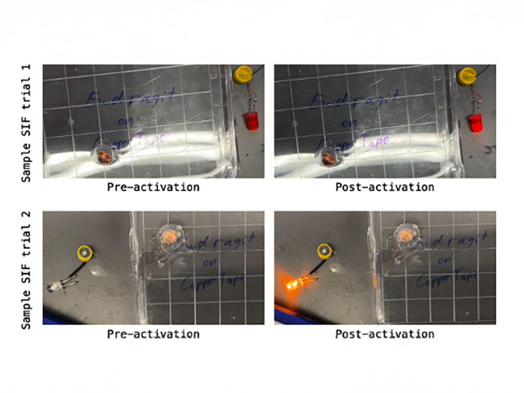 Images from in vitro experiment of pH-activation mechanism