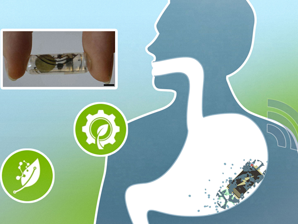  Batteries that safely break down in the GI tract could improve ingestible devices