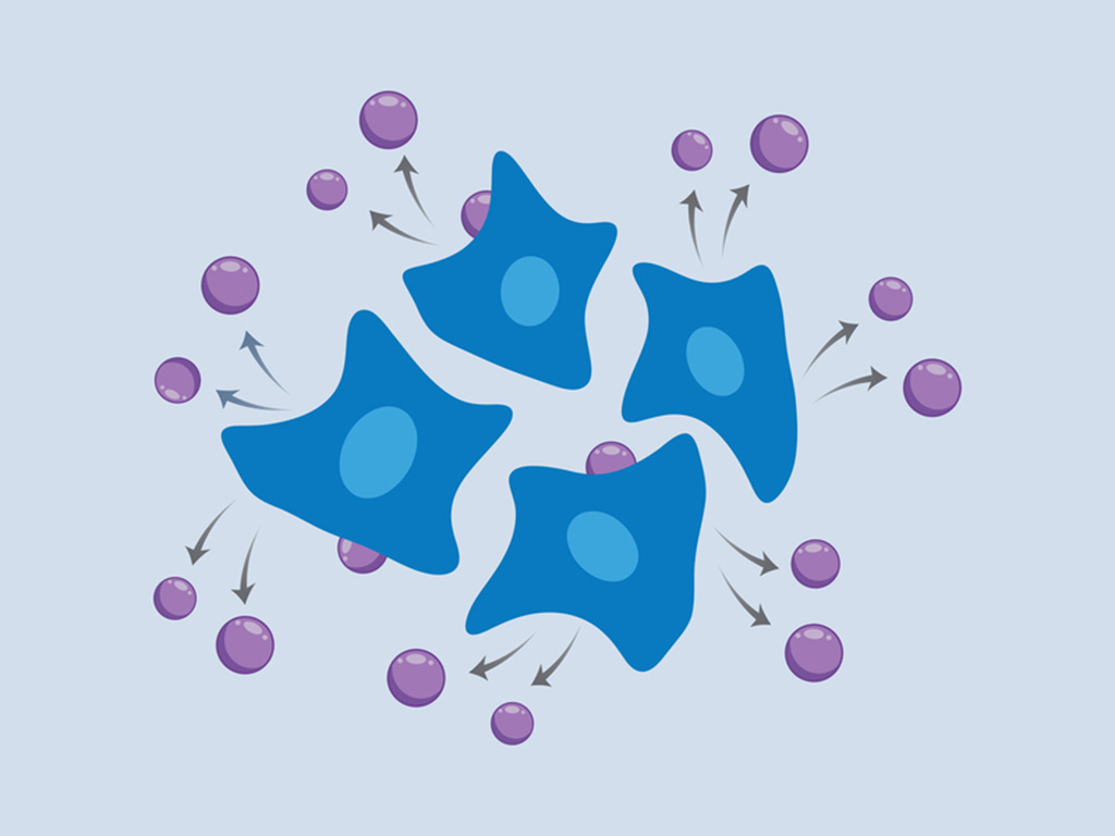 New method allows scientists to follow gene activity over time in the same cells 