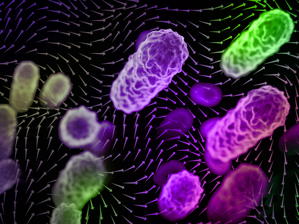  The importance of indoor airflow patterns in spreading airborne disease