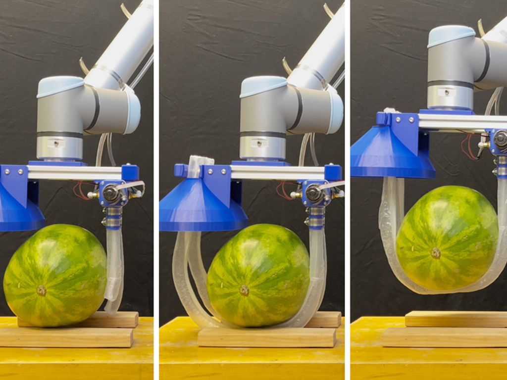  Vine-inspired robotic gripper gently lifts heavy and fragile objects
