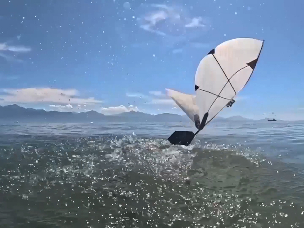New flapping robot swims and flies like a diving bird