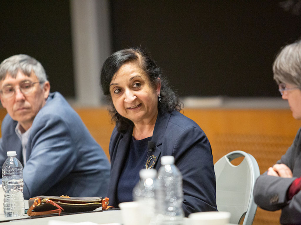 Senior Research Scientist Anuradha Annaswamy at the MIT Energy Initiative’s panel on energy innovation for a net-zero future