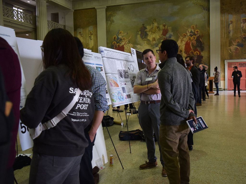 Several people peruse and discuss a row of posters