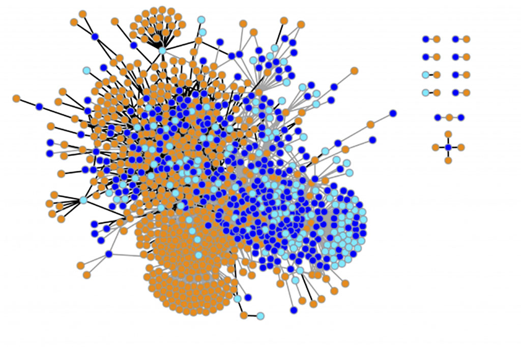 visualization of the researchers’ results
