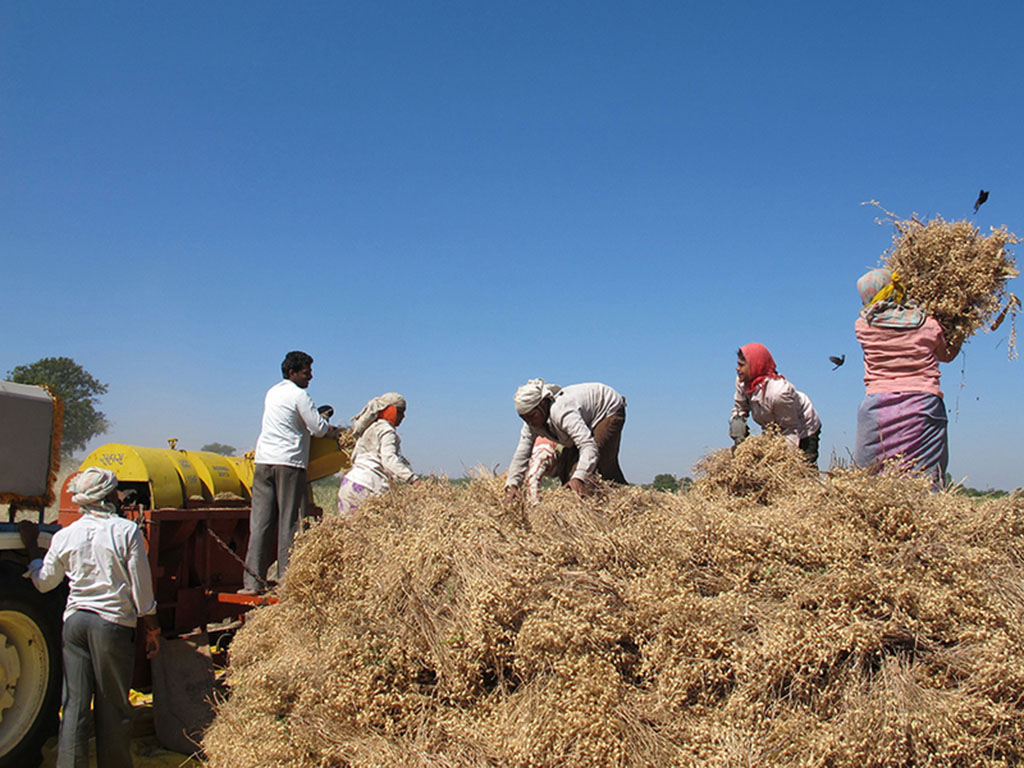 Photo of six farmers working in a field, moving hay.