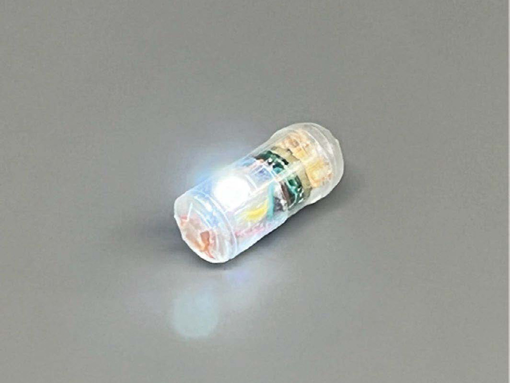 A small ingestible capsule