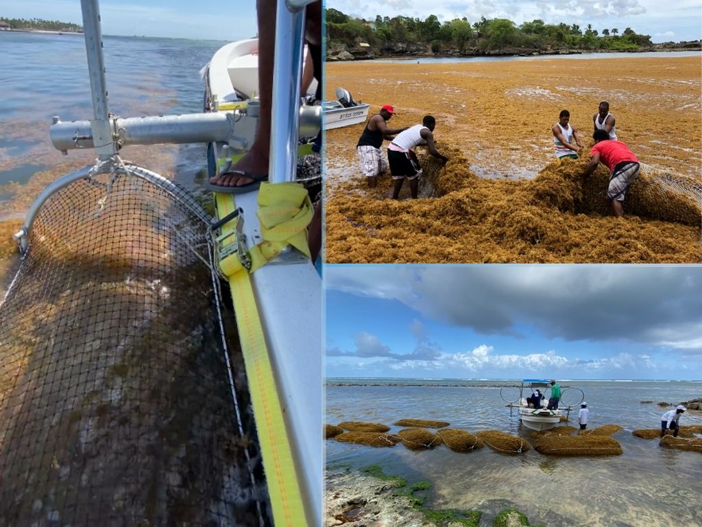 A Littoral Collection Module (LCM) designed to provide solutions both locally and globally skims sargassum seaweed off the surface of the water with nets that can be mounted on any boat and towed out to sea, where the carbon in the seaweed can be sequeste