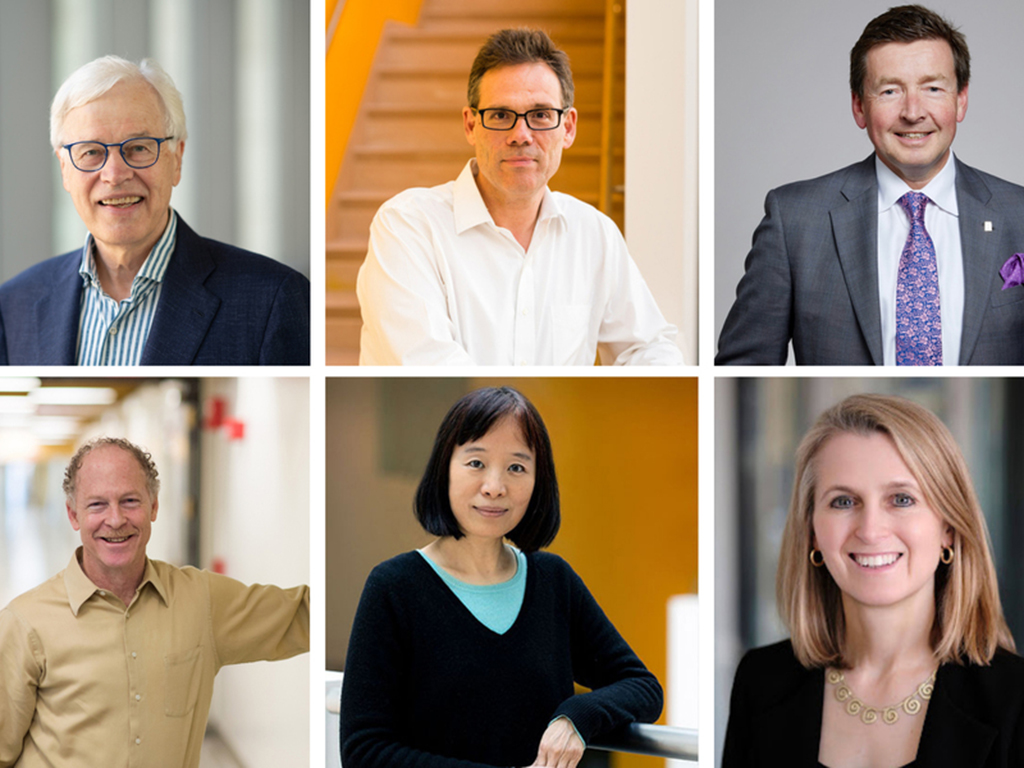 The six MIT faculty members elected to National Academy of Sciences for 2026
