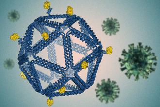 Engineers use “DNA origami” to identify vaccine design rules