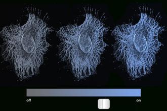 Study finds cell memory can be more like a dimmer dial than an on/off switch 