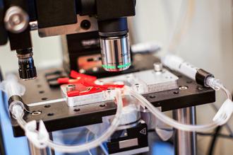 New Microscope Creates Near-Real-Time Videos of Nanoscale Processes
