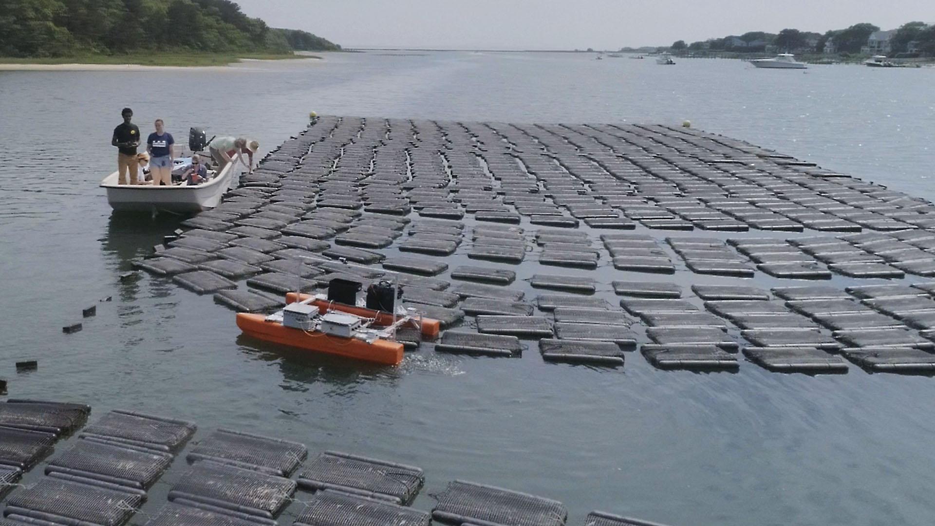 Automating Aquaculture