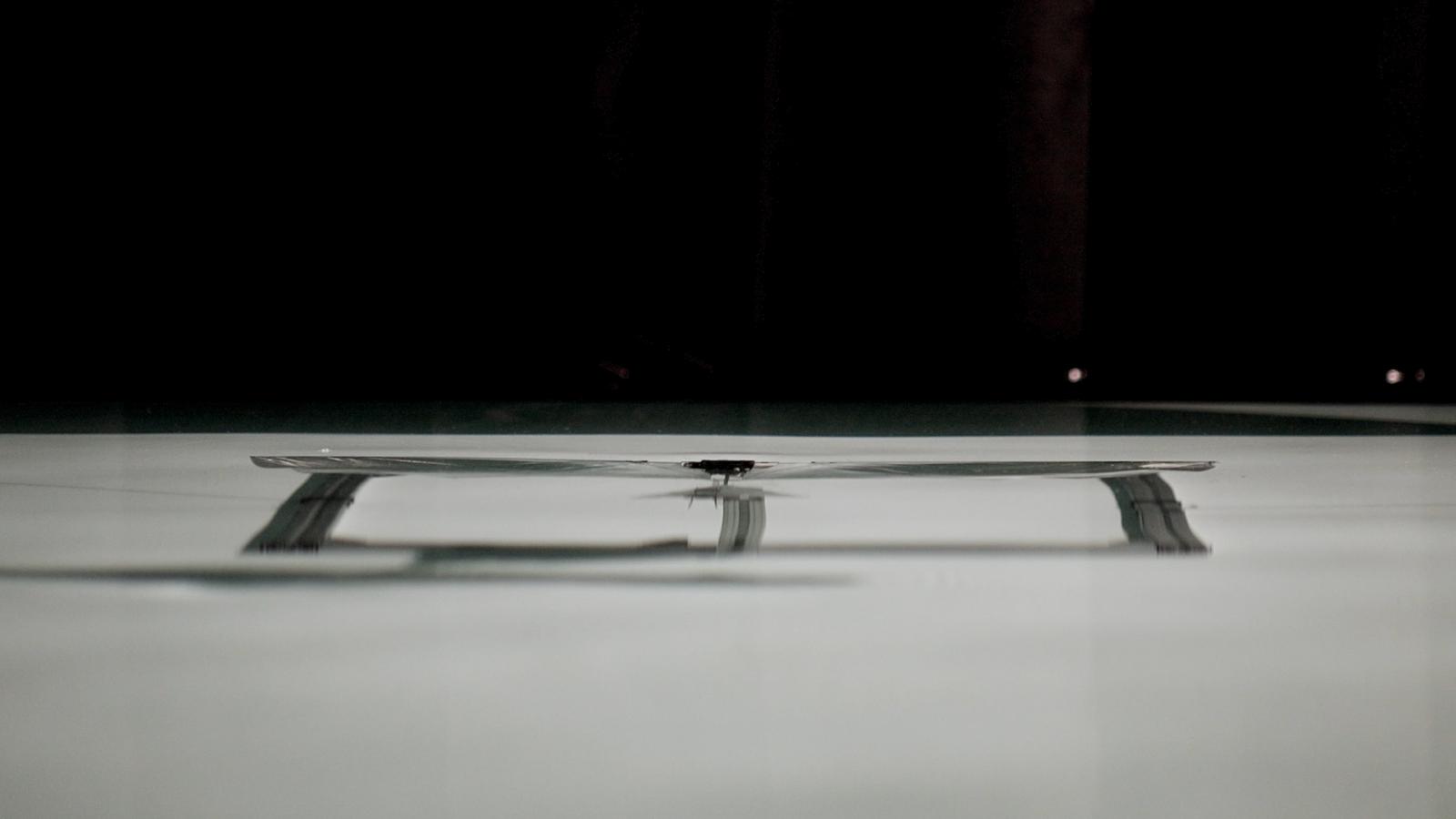 A Robot that Flies and Swims