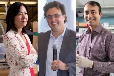 MIT J-WAFS awards eight grants in seventh round of seed funding