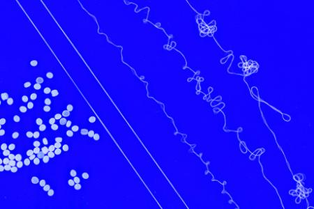 MIT engineers design recyclable elastic yarn 