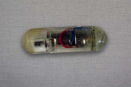 Engineers develop a vibrating, ingestible capsule that might help treat obesity
