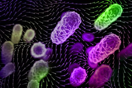 The importance of indoor airflow patterns in spreading airborne disease