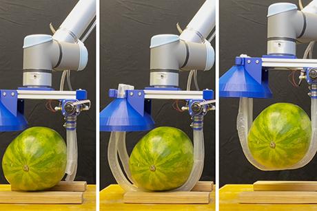  Vine-inspired robotic gripper gently lifts heavy and fragile objects