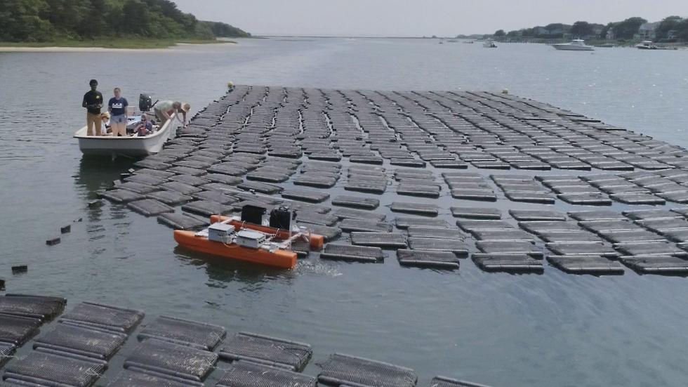 Automating aquaculture with robots