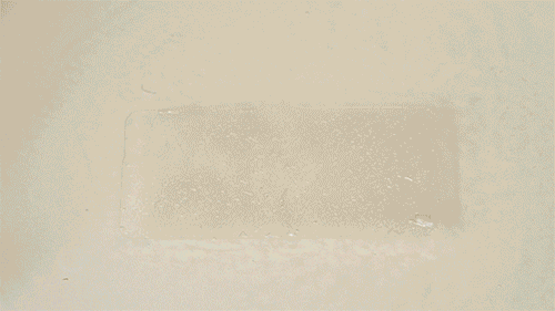 A GIF of adhesive being removed from hydrogel after applying triggering solution fro 5 minutes.